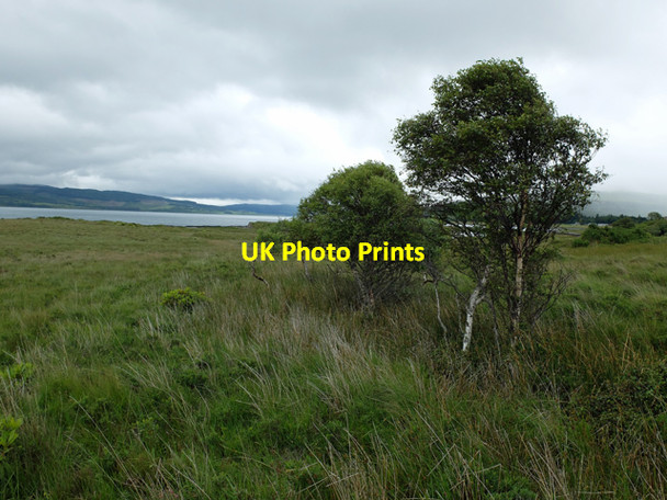 Photo 6"x4" Wet ground south of Rubha Mor Salen c2015