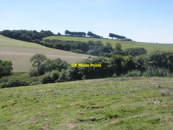 Photo 6"x4" Hillside above Porte Farm Blackmoor Gate c2015