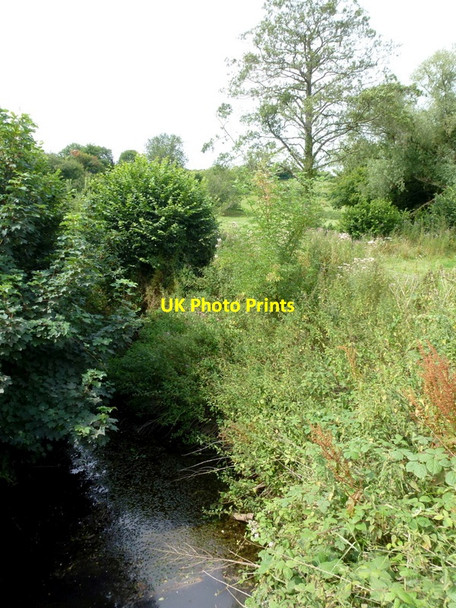 Photo 6"x4" The River Leadon, 1 Fox Hill\/SO6845 c2015