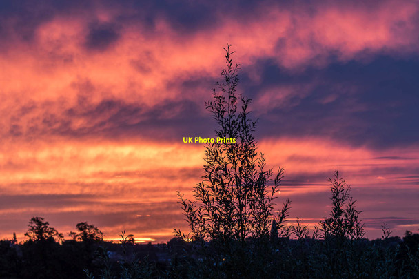 Photo 6"x4" Sunrise over Enfield Southgate\/TQ3094 c2015