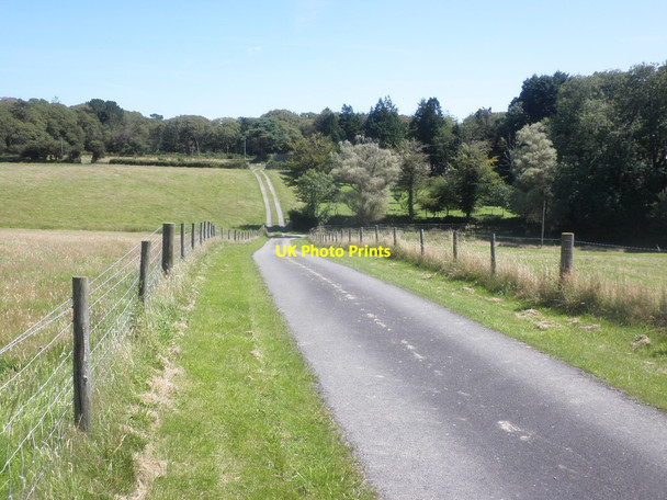 Photo 6"x4" Road to King's Warren Shirwell c2015