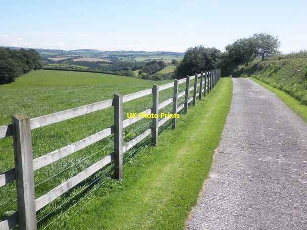 Photo 6"x4" Road to Chilbridge Farm Shirwell c2015