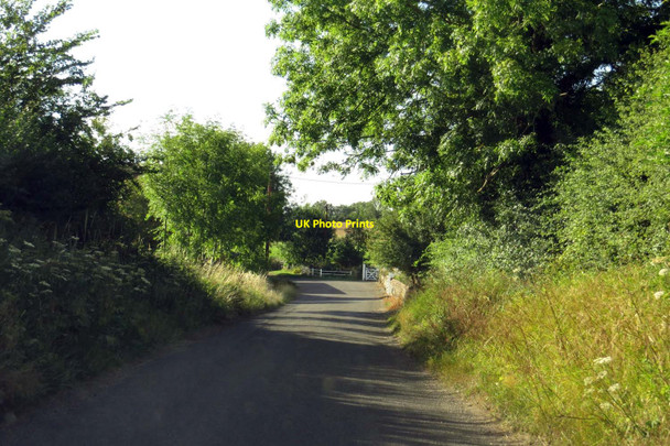 Photo 6"x4" Weston Road in South Weston South Weston c2015