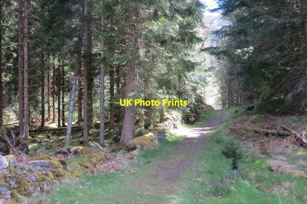 Photo 6"x4" Dyke and path, Rannoch Forest Carie Burn c2015
