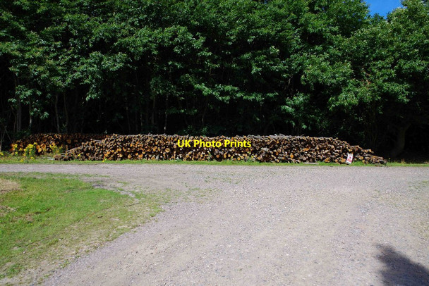 Photo 6"x4" Logs by side of forestry road, King's Wood, near Challock, Kent Molash c2015