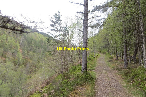 Photo 6"x4" Path beside the Allt na Bogair Allt na Bogair c2015