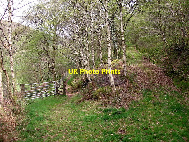 Photo 6"x4" Path junction, Cwm Rheidol Ystumtuen c2015