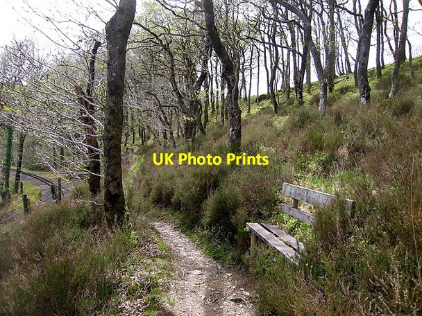 Photo 6"x4" Bench with a view Devil's Bridge\/Pontarfynach c2015
