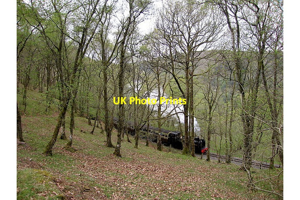 Photo 6"x4" Vale of Rheidol steam train Devil's Bridge\/Pontarfynach c2015