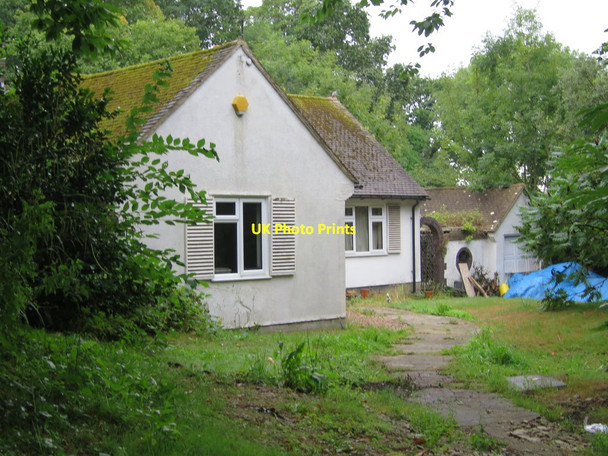Photo 6"x4" Robinswood, Gillsmans Hill Hastings\/TQ8110 c2015