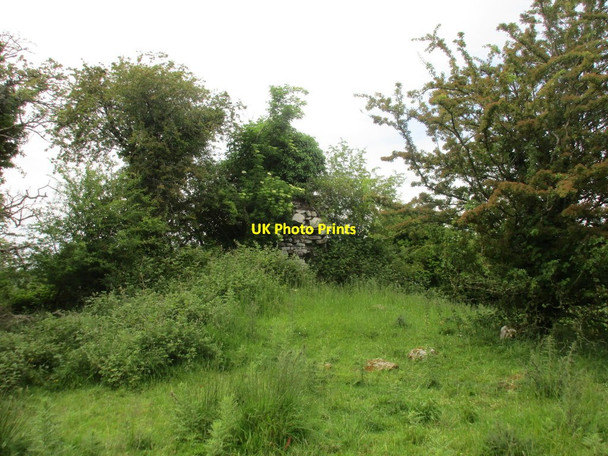Photo 6"x4" The remains of Letter parish church Cadamstown c2015