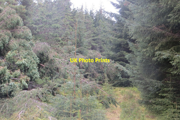 Photo 6"x4" Blocked road Meall nan Sac\/NN5651 c2015