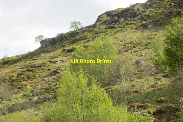 Photo 6"x4" Slopes of the Sma' Glen Clach Ossian c2015