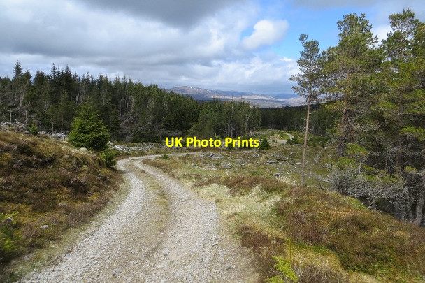 Photo 6"x4" Rannoch Forest: Lairig Ghallabhaich road Creagan na C\u00f2rr c2015