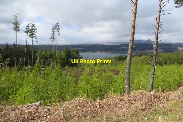 Photo 6"x4" Rannoch Forest Druim nan Crann Saighde c2015
