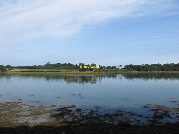 Photo 6"x4" View east from the Eagleson Hide across Castleward Bay Strangford\/J5849 c2015