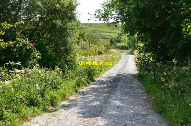 Photo 6"x4" Drove Road near Calaburn Wilton\/NT4915 c2015