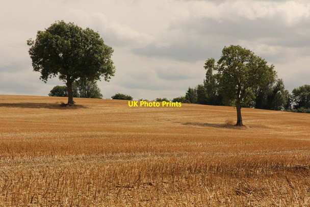 Photo 6"x4" Welham Hill farmland Little Gringley c2015