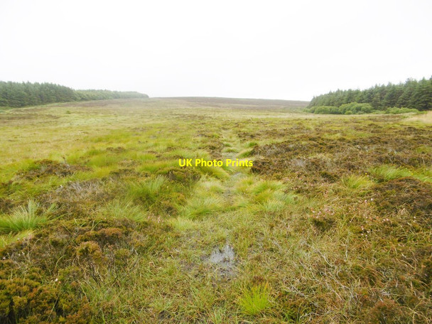 Photo 6"x4" Dalby, footpath Ballelby c2015