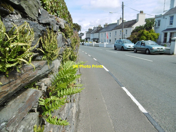 Photo 6"x4" Ballaugh, ferns Ballaugh c2015