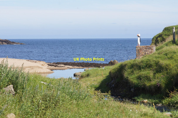 Photo 6"x4" Aunie, one of the Unstfest puffins, at Skaw Kirkaton c2015