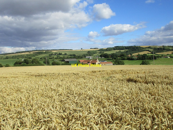 Photo 6"x4" View towards Mount Pleasant and Leavening Leavening c2015