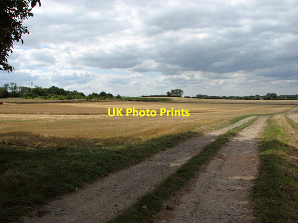 Photo 6"x4" Harvested fields by Martham Martham c2015
