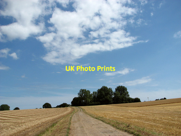 Photo 6"x4" Track to Moregrove Farm Damgate\/TG4519 c2015