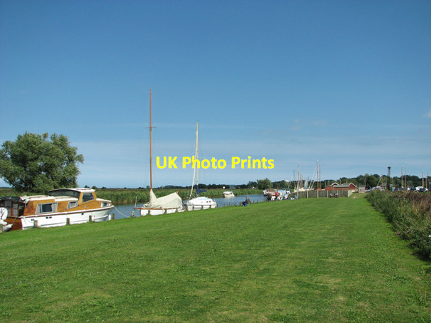 Photo 6"x4" Riverside path along the Thurne Mustard Hyrn c2015