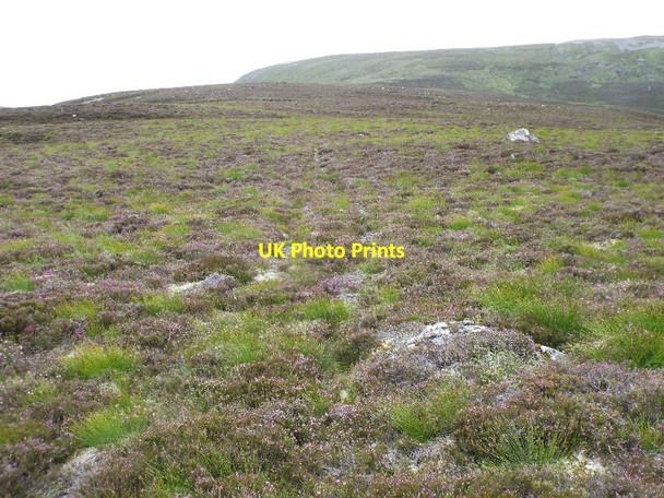 Photo 6"x4" Looking up the ridge west of Druim nam Bo above Glenfeshie Carnachuin c2015