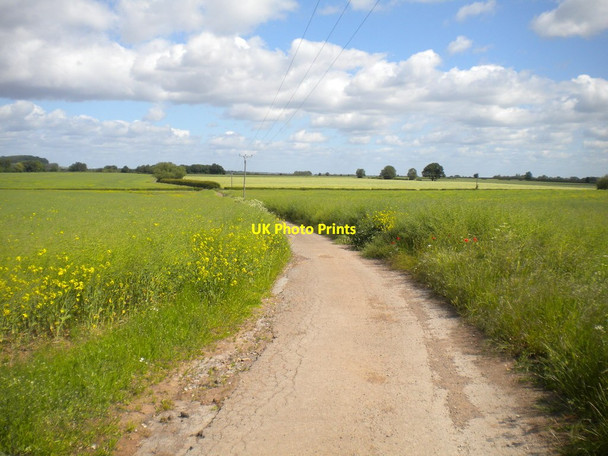 Photo 6"x4" Track north of Barn Farm (2) Bradmore\/SK5831 c2015
