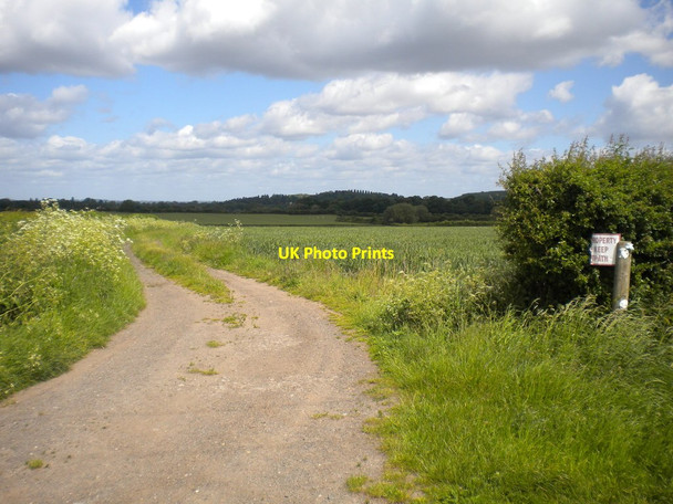 Photo 6"x4" Track west of Barn Farm Bradmore\/SK5831 c2015