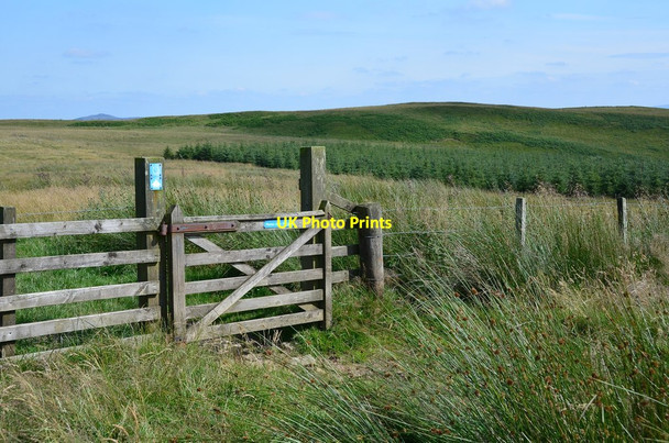 Photo 6"x4" Gate to Long Moss Salenside c2015