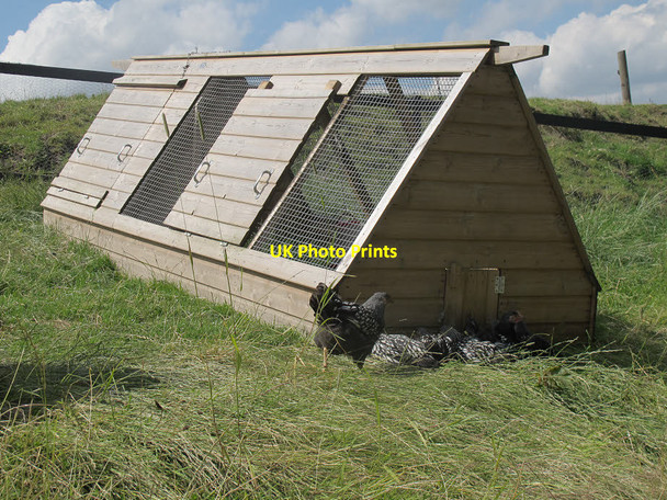 Photo 6"x4" Hen coop at High Birks Queensbury\/SE0930 c2015