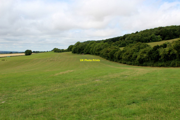 Photo 6"x4" Slopes of Charing Hill Charing c2015