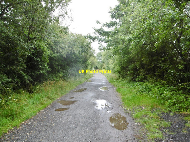 Photo 6"x4" Glen Vine, Steam Heritage Trail Crosby\/SC3279 c2015
