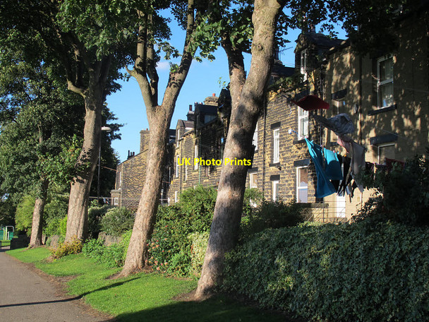 Photo 6"x4" Trees and washing Pudsey\/SE2233 c2015