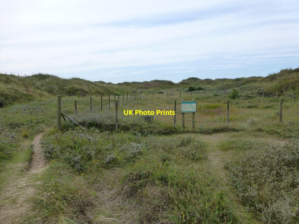 Photo 6"x4" An isolated Natterjack Toad reserve on the coastal path Ainsdale-on-Sea c2015