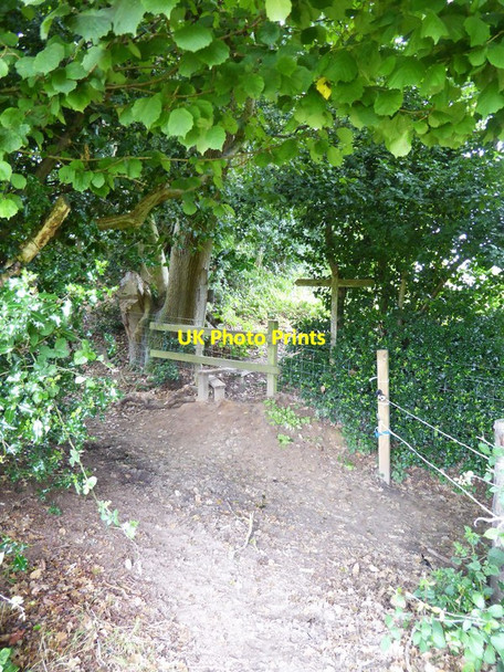 Photo 6"x4" Crossing footpaths seen from the east Marehill c2015
