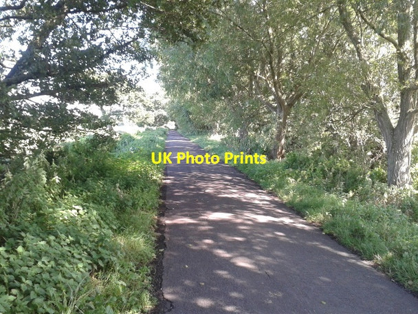 Photo 6"x4" Butleigh Drove, looking east Berhill c2015