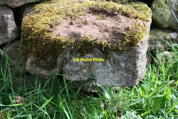 Photo 6"x4" Benchmark on stone in wall at NE end of Chitty Hill Colby\/NY6620 c2015