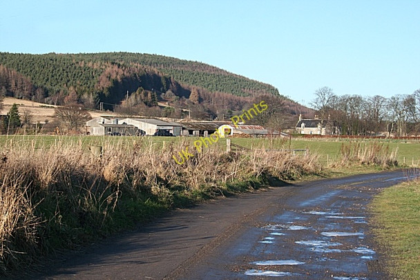 Photo 6"x4" Collie Farm Orton\/NJ3153 c2009 P1