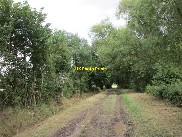 Photo 6"x4" Track to Cow Bridge Gilberdyke c2015