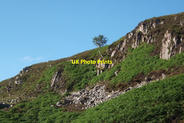Photo 6"x4" Crags above the Swordly Burn Kirtomy c2015