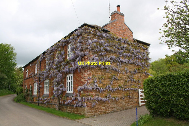Photo 6"x4" Cottages on Loddington Road Tilton on the Hill c2015