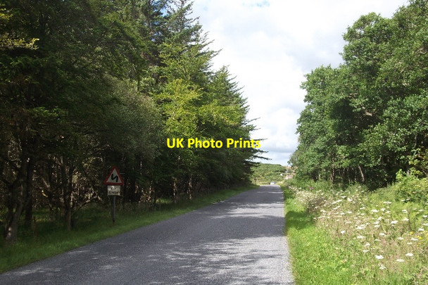 Photo 6"x4" A836, Reay Reay c2015