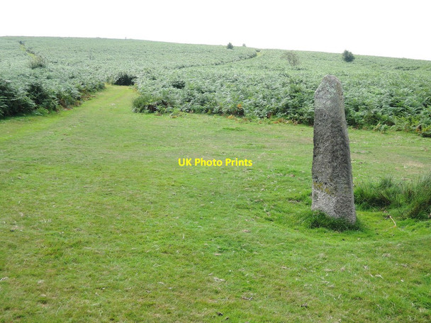 Photo 6"x4" Mardon Down: standing stone at Headless Cross Doccombe c2015