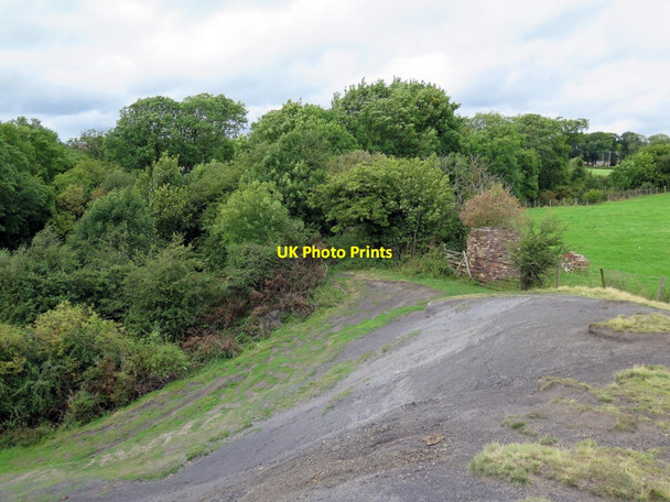 Photo 6"x4" Disused tip at former Butterknowle Colliery South Side\/NZ1026 c2015