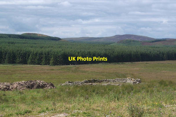 Photo 6"x4" Ruined fank, West Shebster Shebster c2015