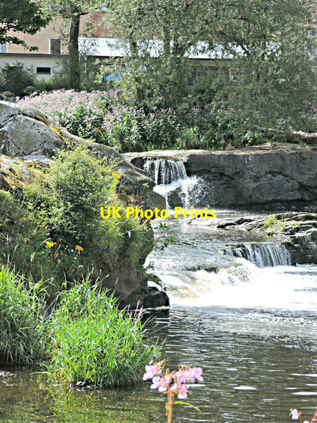 Photo 6"x4" Seedhill Craigs Paisley c2015 P1